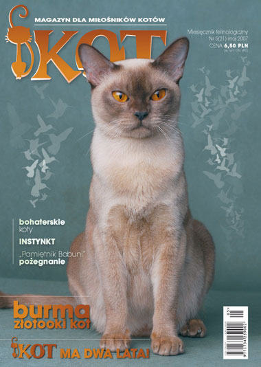 artykuł w magazynie Kot jak  pomagać bezdomnym kotom
